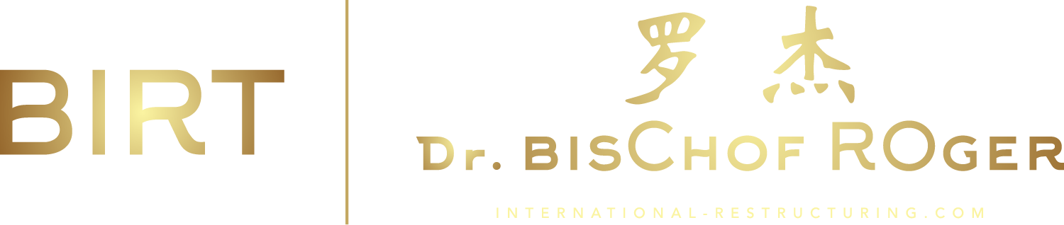 BIRT International Restructuring Logo